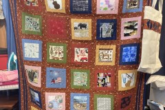 Quilts for Kids with Cancer #102
